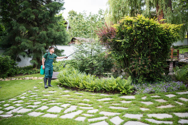 Best Lawn Disease Treatment  in Evansville, IN